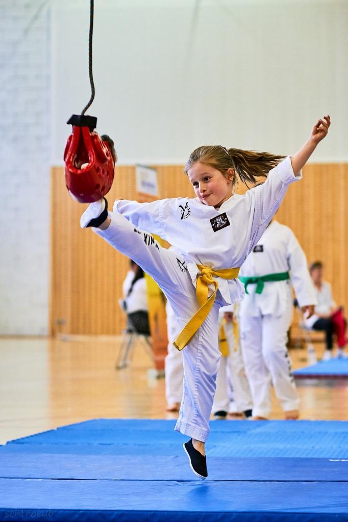 PHOENIX CUP ASPTT STRASBOURG TAEKWONDO (63)