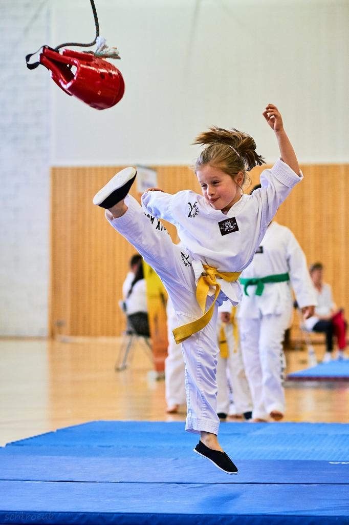 PHOENIX CUP ASPTT STRASBOURG TAEKWONDO (64)