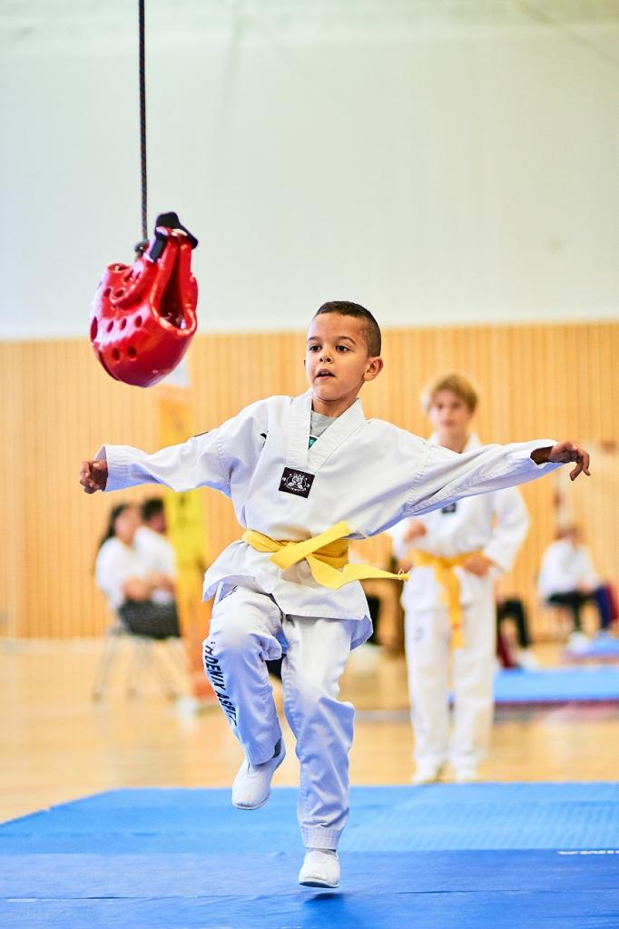 PHOENIX CUP ASPTT STRASBOURG TAEKWONDO (66)