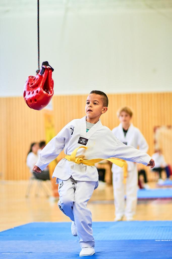 PHOENIX CUP ASPTT STRASBOURG TAEKWONDO (67)