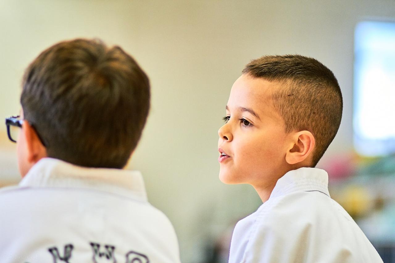 PHOENIX CUP ASPTT STRASBOURG TAEKWONDO (69)