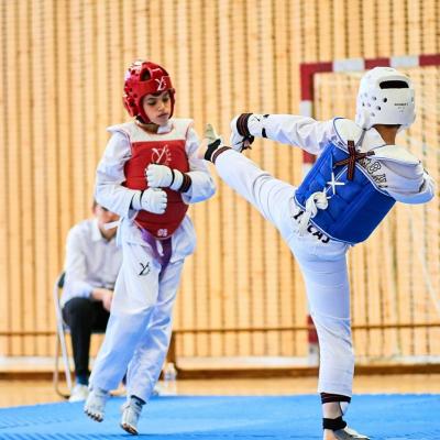 PHOENIX CUP ASPTT STRASBOURG TAEKWONDO (76)