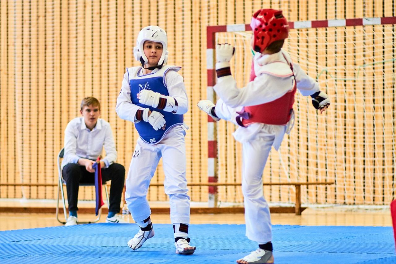 PHOENIX CUP ASPTT STRASBOURG TAEKWONDO (78)