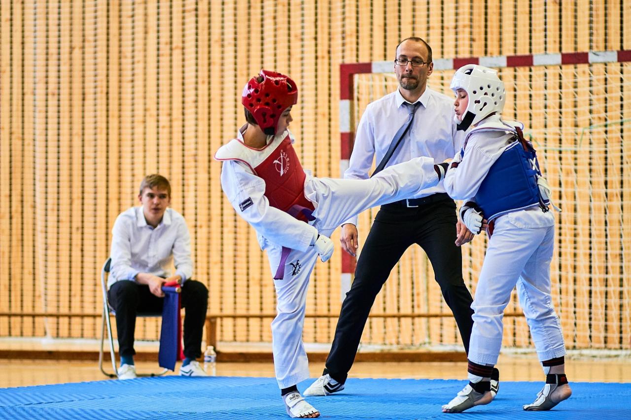 PHOENIX CUP ASPTT STRASBOURG TAEKWONDO (81)