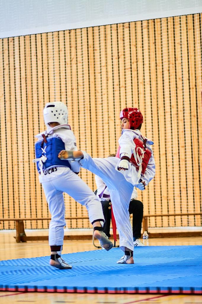 PHOENIX CUP ASPTT STRASBOURG TAEKWONDO (82)