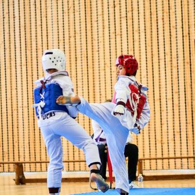 PHOENIX CUP ASPTT STRASBOURG TAEKWONDO (82)