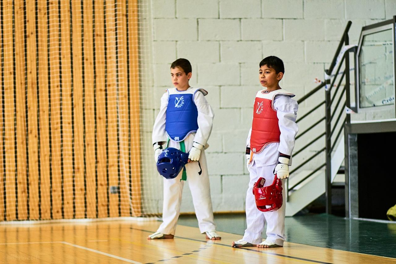 PHOENIX CUP ASPTT STRASBOURG TAEKWONDO (84)