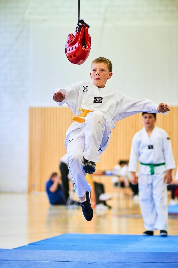 PHOENIX CUP ASPTT STRASBOURG TAEKWONDO (87)