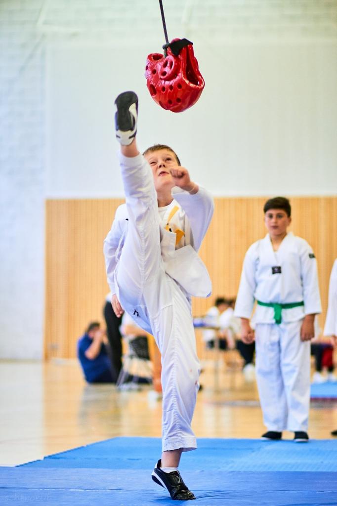 PHOENIX CUP ASPTT STRASBOURG TAEKWONDO (88)