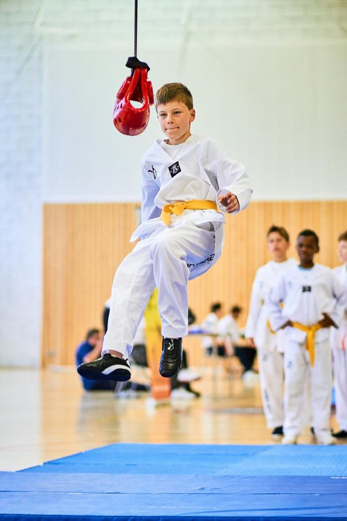 PHOENIX CUP ASPTT STRASBOURG TAEKWONDO (89)