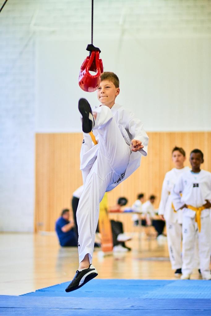 PHOENIX CUP ASPTT STRASBOURG TAEKWONDO (90)