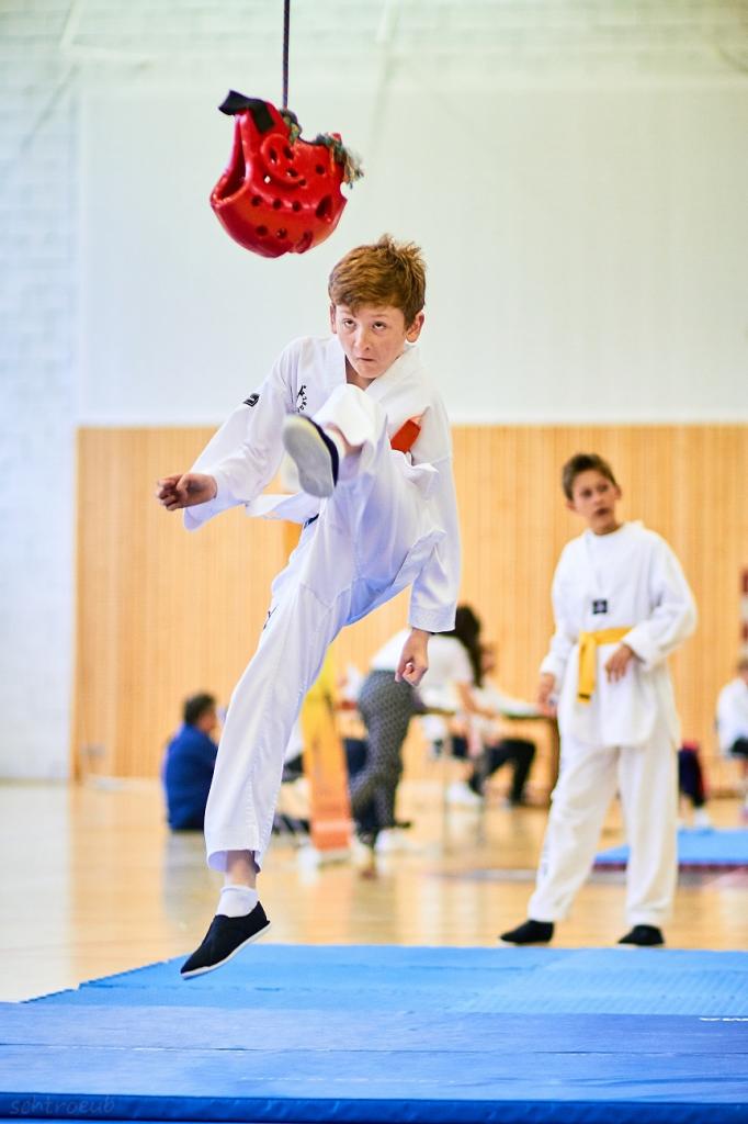 PHOENIX CUP ASPTT STRASBOURG TAEKWONDO (91)