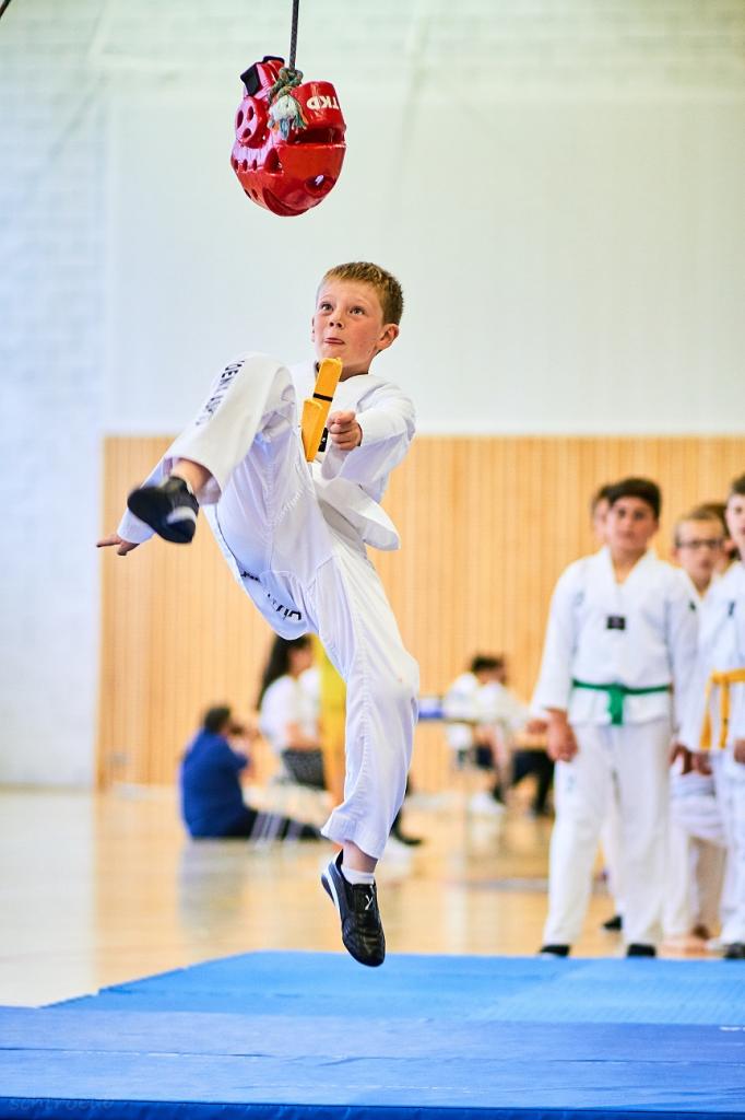 PHOENIX CUP ASPTT STRASBOURG TAEKWONDO (92)