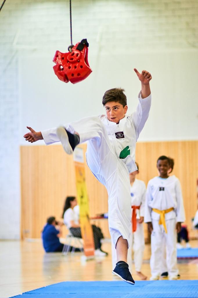 PHOENIX CUP ASPTT STRASBOURG TAEKWONDO (93)