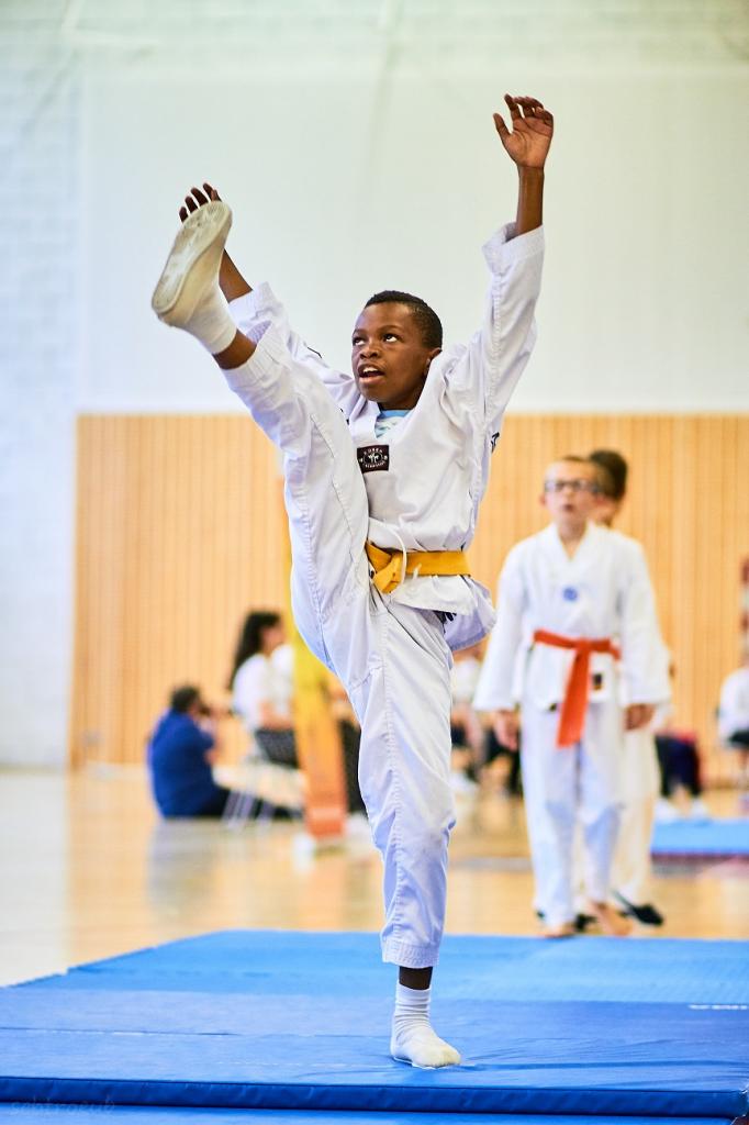 PHOENIX CUP ASPTT STRASBOURG TAEKWONDO (95)