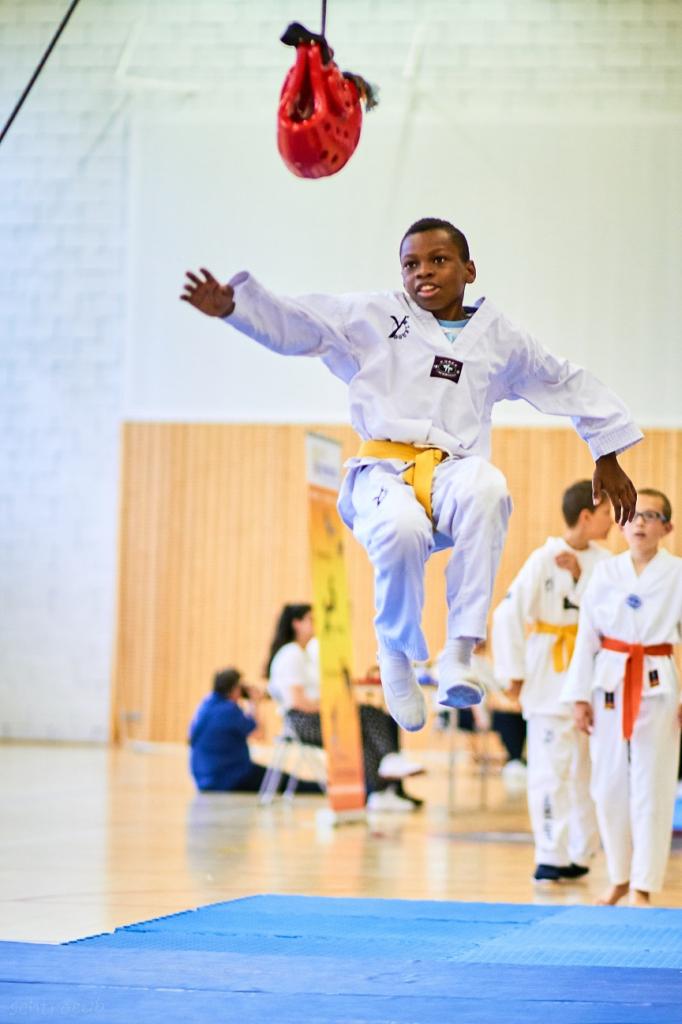 PHOENIX CUP ASPTT STRASBOURG TAEKWONDO (96)