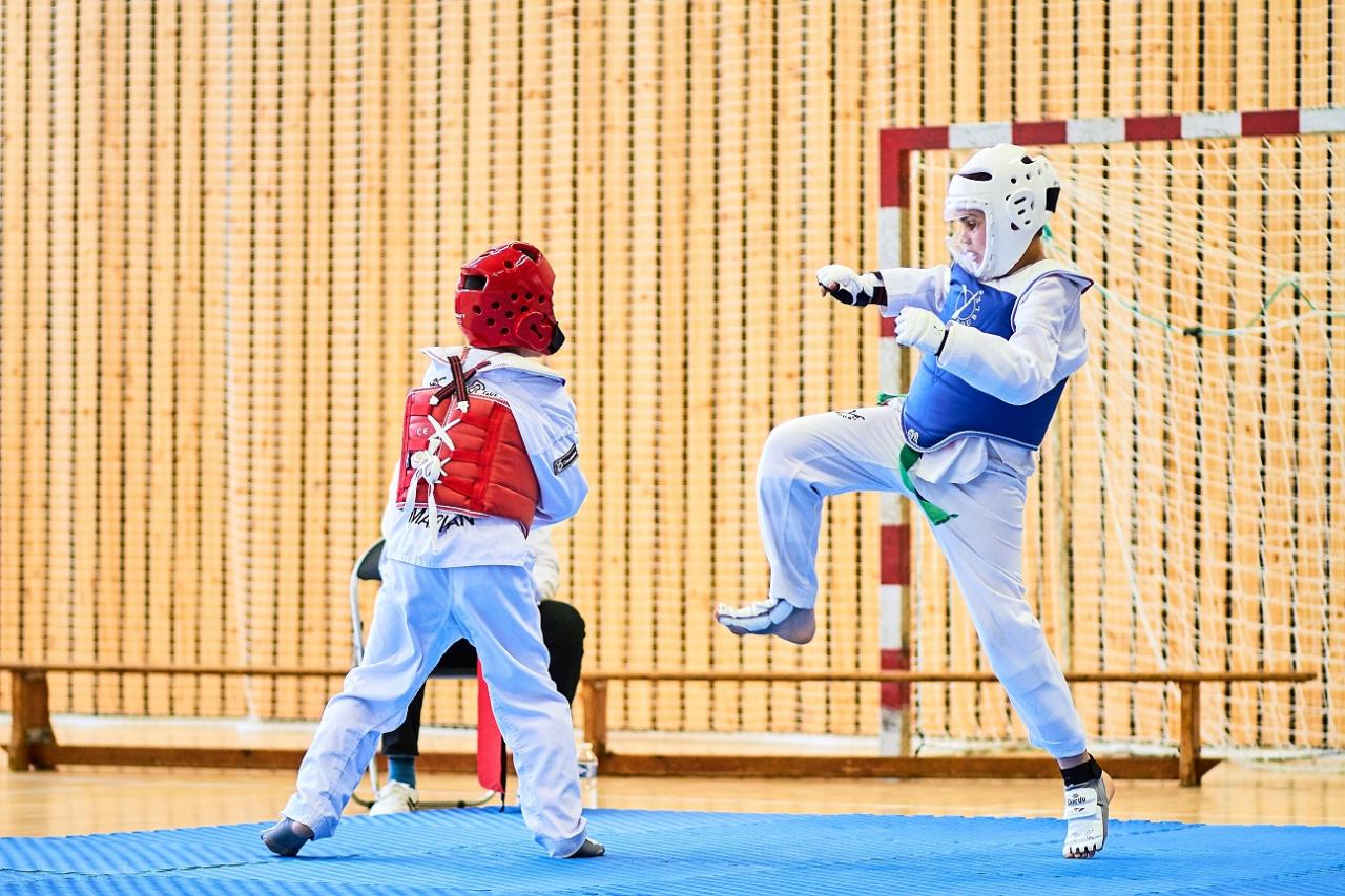 PHOENIX CUP ASPTT STRASBOURG TAEKWONDO (99)