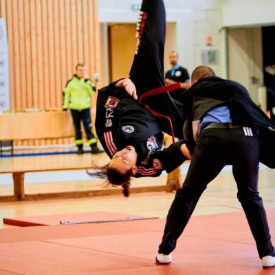 Challenge - Hapkido 2016