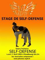 Affiche stage