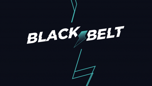 Découvrir www.blackbeltpunch.fr