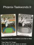 Lexique fftda en image taekwondo