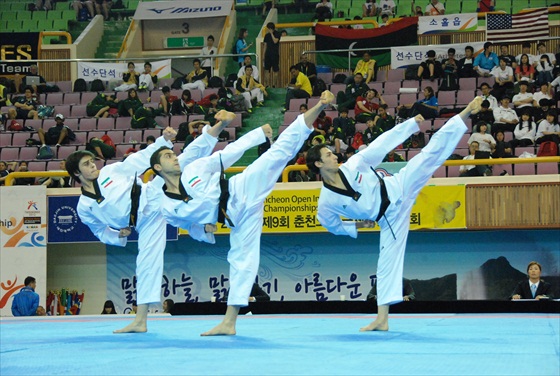 Taekwondo 3